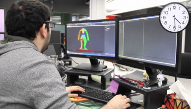 Freelance Animator